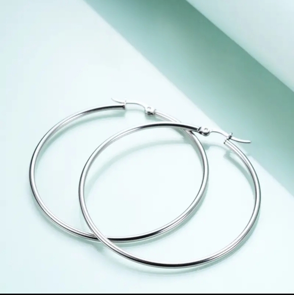 STAINLESS STEEL LARGE HOOP EARRINGS - Picture 1 of 4